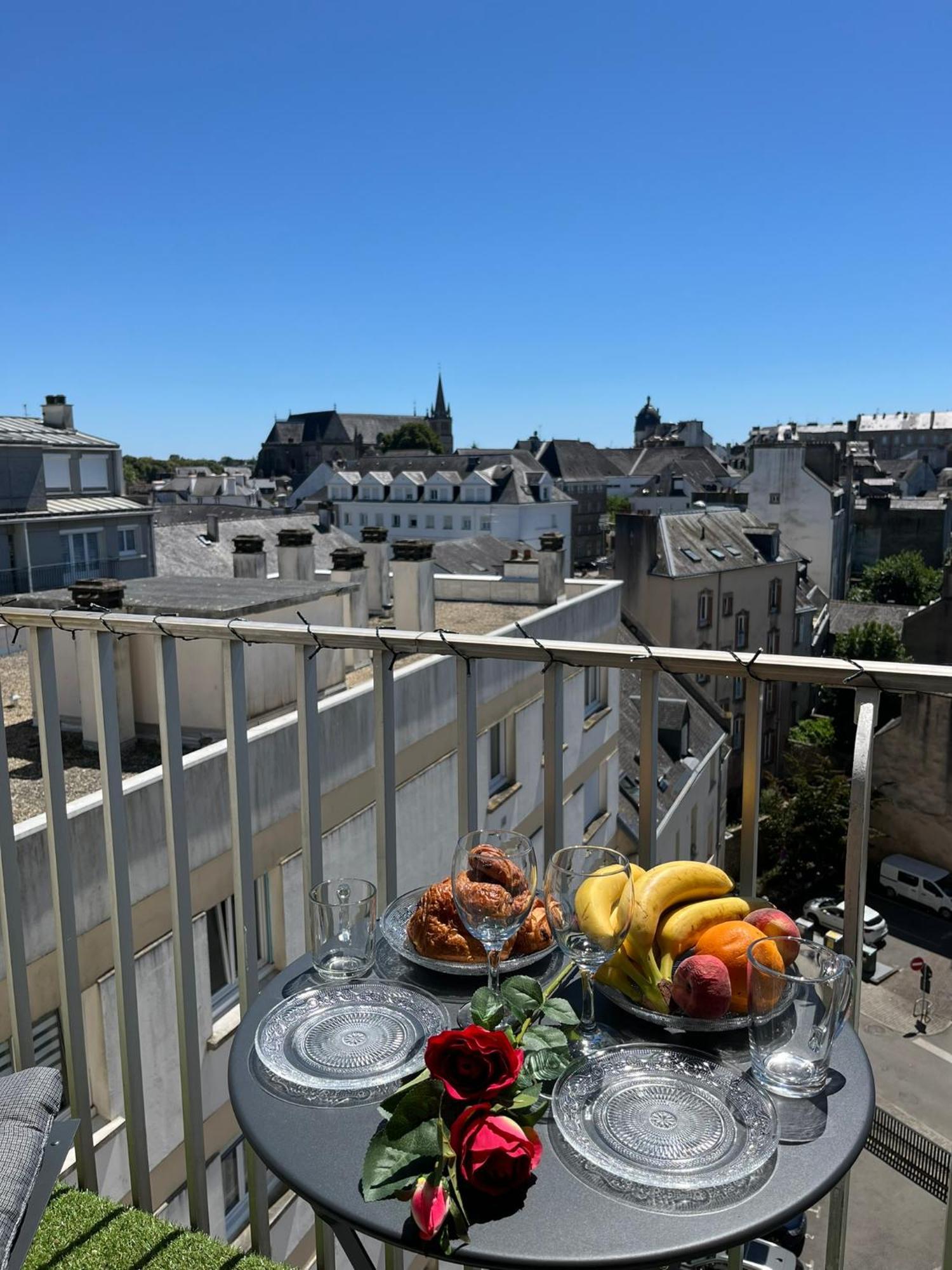 Apartment Vue Sur Les Toits Historiques De Vannes